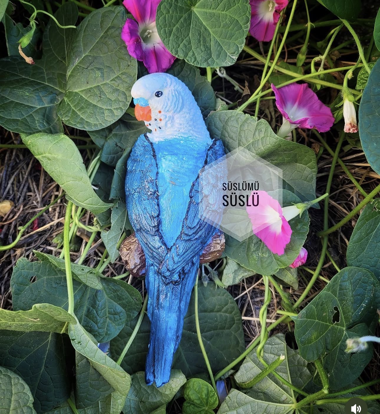Muhabbet kuşu kalıbı sol