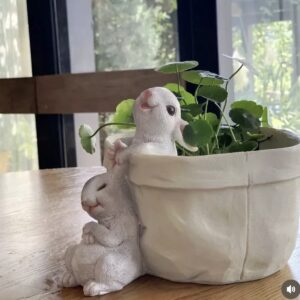 Kulak çeken tavşan saksı kalıbı