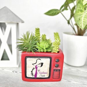 Tv saksı kalıbı