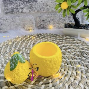 Limon kutu kalıbı