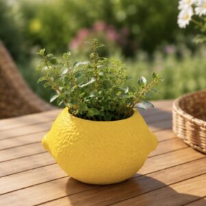 Limon saksı kalıbı