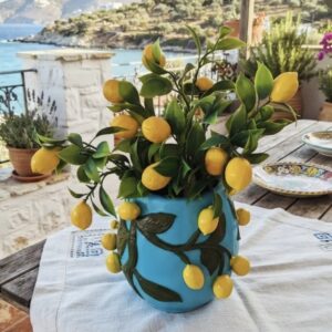 Limon saksı kalıbı